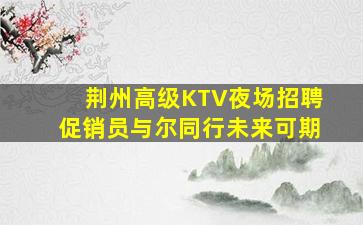 荆州高级KTV夜场招聘促销员与尔同行未来可期